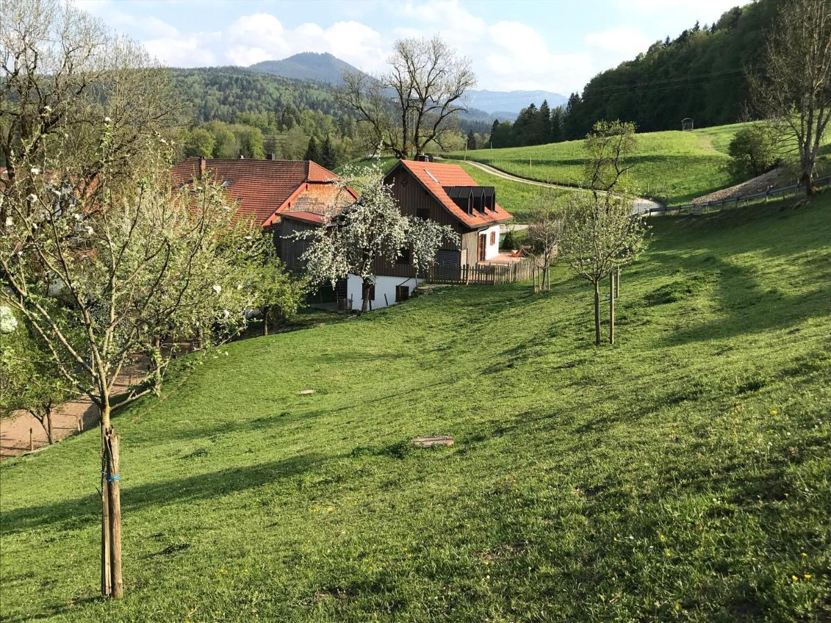 Pension Ober Siegsdorf Dış mekan fotoğraf
